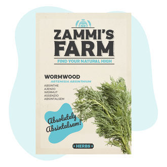 Sementes de absinto (Artemisia absinthium)