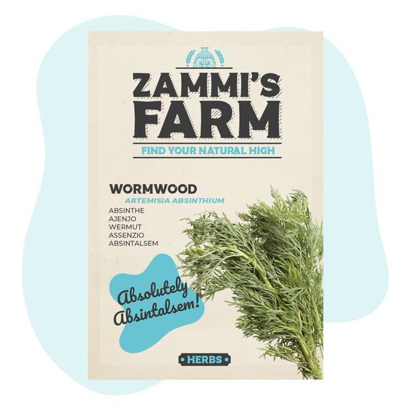 Sementes de absinto (Artemisia absinthium)