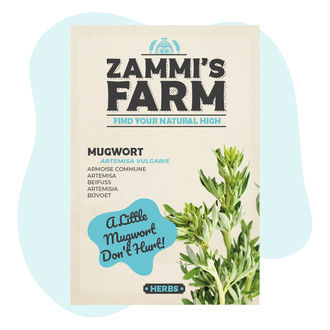 Sementes de Artemísia comum (Artemisia vulgaris)