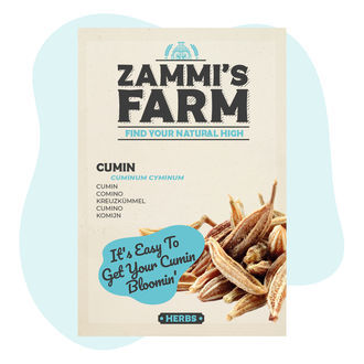 Sementes de cominho (Cuminum cyminum)