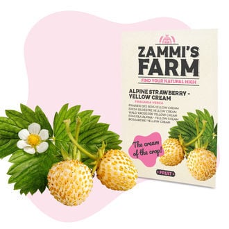 Sementes de Morango Silvestre - Yellow Cream (Fragaria vesca)