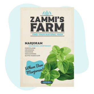 Sementes de manjerona (Majorana hortensis)