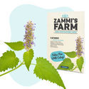 Sementes de Catmint (Nepeta mussinii)