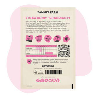 Sementes Grandian Strawberry F1 (Fragaria x ananassa)