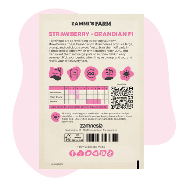 Sementes Grandian Strawberry F1 (Fragaria x ananassa)