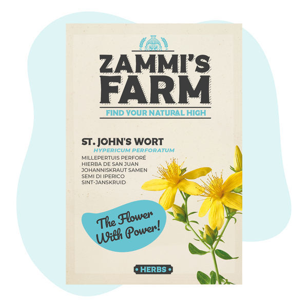 Sementes de Hipericão (Hypericum perforatum)