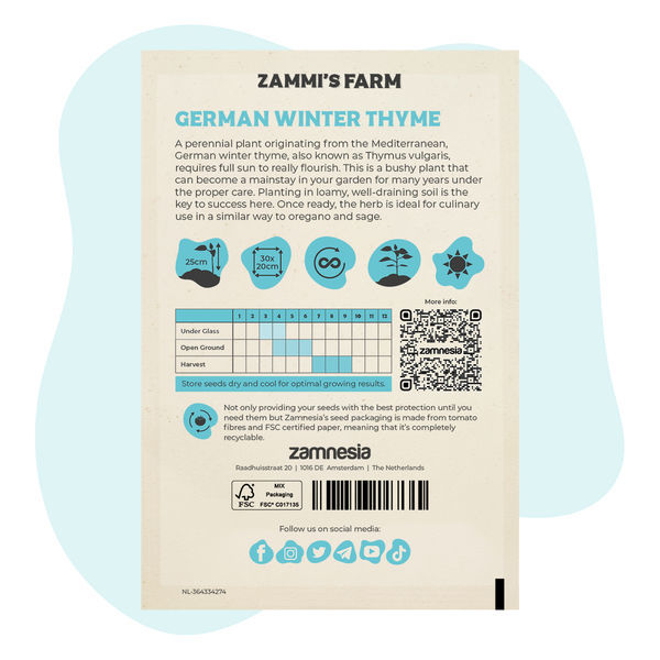 Sementes de tomilho-de-inverno alemão (Thymus vulgaris)