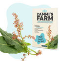 Sementes de azeda (Rumex acetosa)