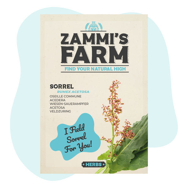 Sementes de azeda (Rumex acetosa)