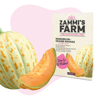 Sementes de Melão 'Oranje Ananas' (Cucumis melo)