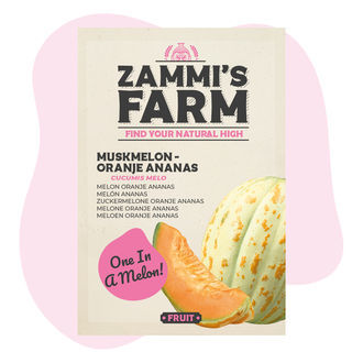 Sementes de Melão 'Oranje Ananas' (Cucumis melo)