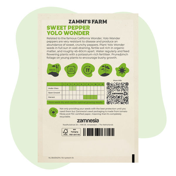 Sementes de pimento doce Yolo Wonder (Capsicum annuum)