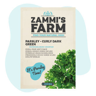 Sementes de salsa 'Curly Dark Green' (Petroselinum crispum)