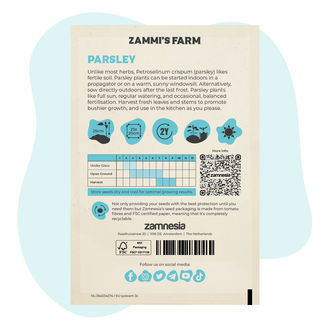 Sementes de salsa 'Curly Dark Green' (Petroselinum crispum)