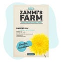 Sementes de dente-de-leão (Taraxacum officinale)