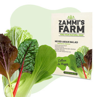 Sementes de verduras asiáticas mistas