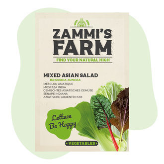 Sementes de verduras asiáticas mistas