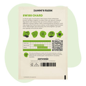 Sementes de acelga suíça vermelha (Beta vulgaris)