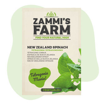 Sementes de espinafre-da-Nova Zelândia (Tetragonia tetragonoides)