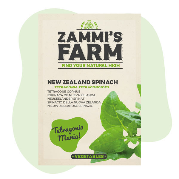 Sementes de espinafre-da-Nova Zelândia (Tetragonia tetragonoides)