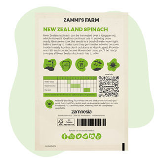 Sementes de espinafre-da-Nova Zelândia (Tetragonia tetragonoides)