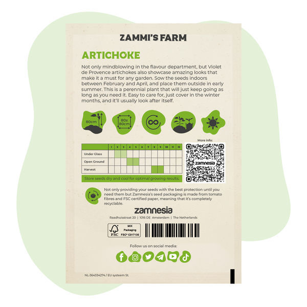 Sementes de Alcachofra 'Violet de Provence' (Cynara scolymus)