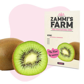 Sementes de kiwi (Actinidia deliciosa)