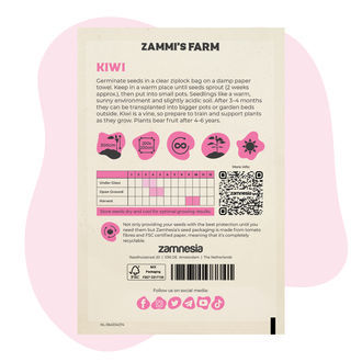 Sementes de kiwi (Actinidia deliciosa)