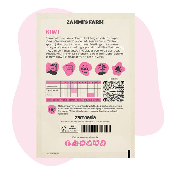 Sementes de kiwi (Actinidia deliciosa)