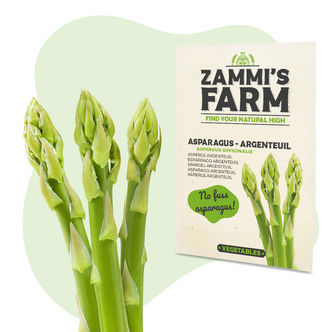 Sementes de Espargo 'Argenteuil' (Asparagus officinalis)