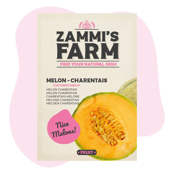 Sementes de meloa 'Charentais' (Cucumis melo)