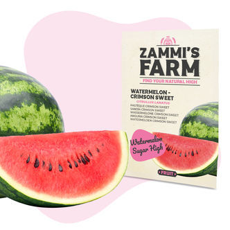 Sementes de melancia 'Crimson Sweet' (Citrullus lanatus)