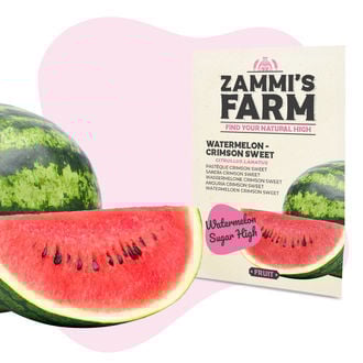 Sementes de melancia 'Crimson Sweet' (Citrullus lanatus)