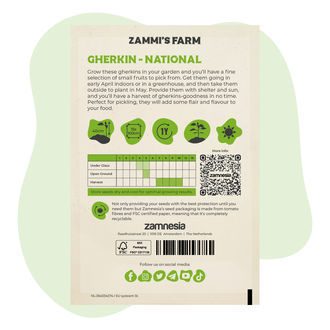 Sementes de pepino 'National' (Cucumis sativus)