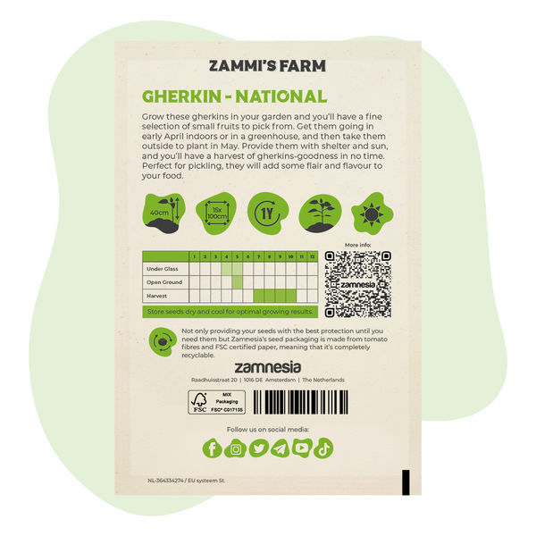 Sementes de pepino 'National' (Cucumis sativus)