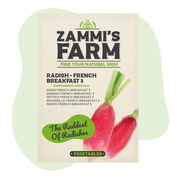 Sementes de rabanete 'French Breakfast 3' (Raphanus sativus)