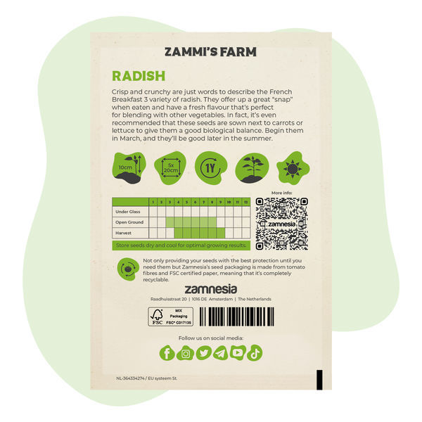 Sementes de rabanete 'French Breakfast 3' (Raphanus sativus)