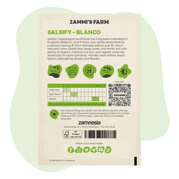 Sementes de salsifí 'Blanco' (Tragopogon porrifolius)