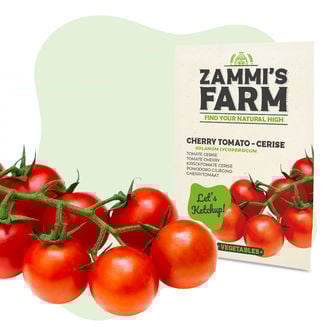 Sementes de tomate-cereja Cerise (Lycopersicon esculentum)
