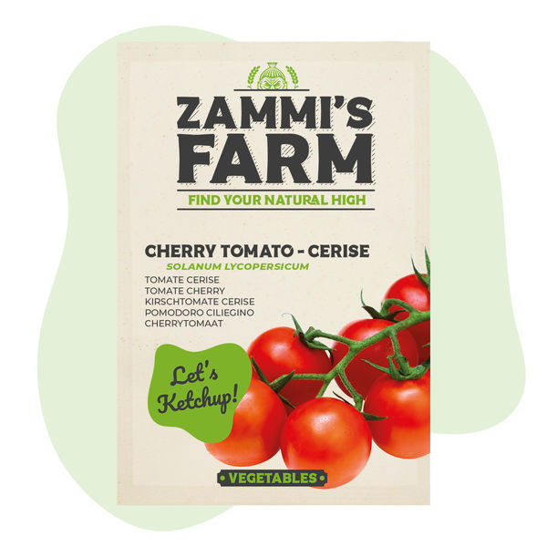 Sementes de tomate-cereja Cerise (Lycopersicon esculentum)