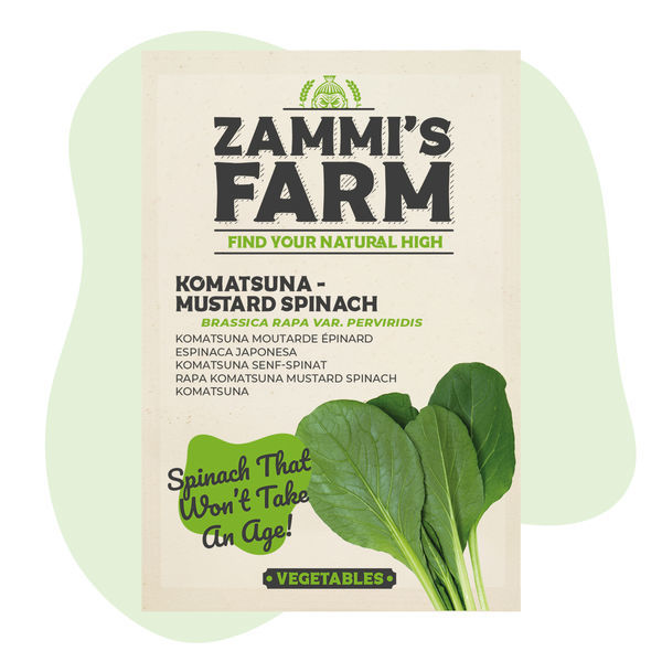 Sementes de Komatsuna (Brassica rapa var. perviridis)