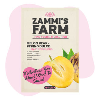 Sementes de Melão-Pêra (Solanum muricatum)