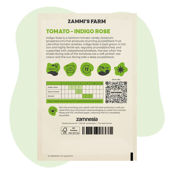 Sementes de tomate Indigo Rose (Solanum lycopersicum)