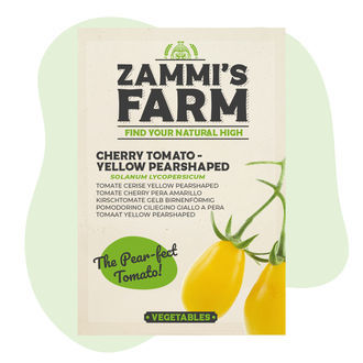 Sementes de tomate-cereja amarelo (Solanum lycopersicum)