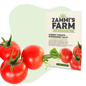Sementes de tomate cherry 'Supersweet 100 F1' (Solanum lycopersicum)