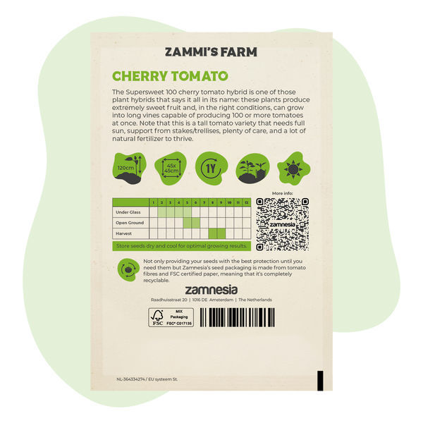 Sementes de tomate cherry 'Supersweet 100 F1' (Solanum lycopersicum)