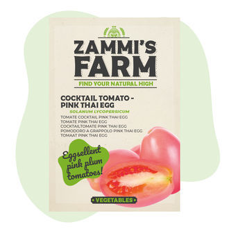 Sementes de tomate-cocktail 'Thai Pink Egg' (Solanum lycopersicum)