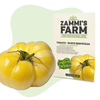 Sementes de tomate Great White Beefsteak (Solanum lycopersicum)