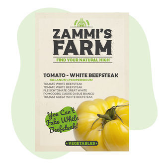 Sementes de tomate Great White Beefsteak (Solanum lycopersicum)