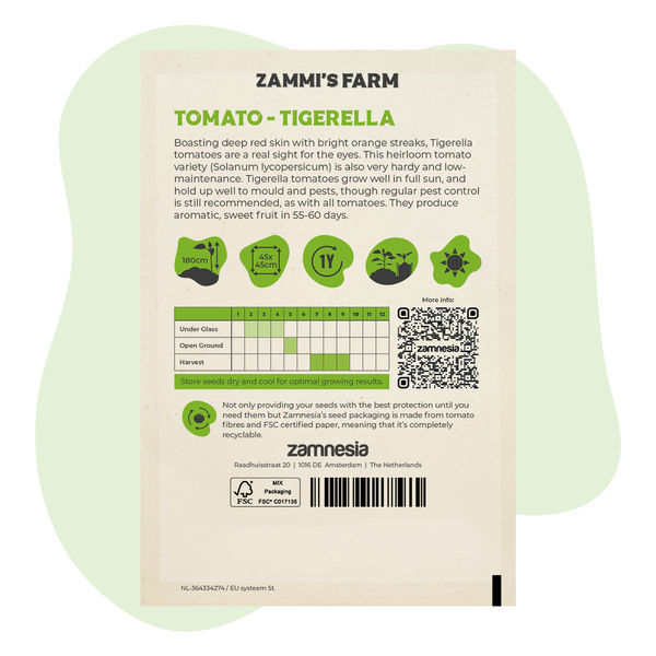 Sementes de tomate Tigerella (Solanum lycopersicum)